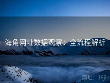 海角网址数据观察：全流程解析
