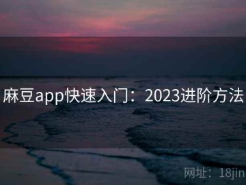 麻豆app快速入门：2023进阶方法