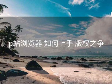 p站浏览器 如何上手 版权之争