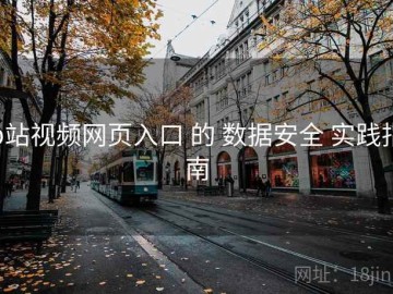 p站视频网页入口 的 数据安全 实践指南