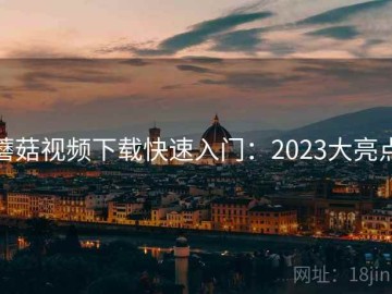 蘑菇视频下载快速入门：2023大亮点