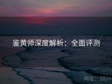 鉴黄师深度解析：全面评测