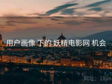 用户画像 下的 妖精电影网 机会