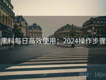 黑料每日高效使用：2024操作步骤