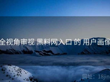 全视角审视 黑料网入口 的 用户画像