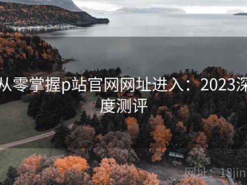 从零掌握p站官网网址进入：2023深度测评