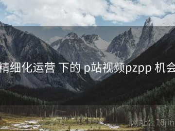 精细化运营 下的 p站视频pzpp 机会