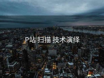 P站 扫描 技术演绎