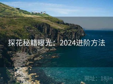 探花秘籍曝光：2024进阶方法