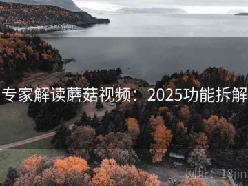 专家解读蘑菇视频：2025功能拆解
