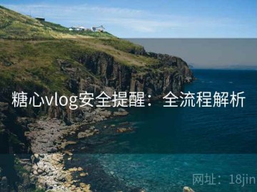 糖心vlog安全提醒：全流程解析