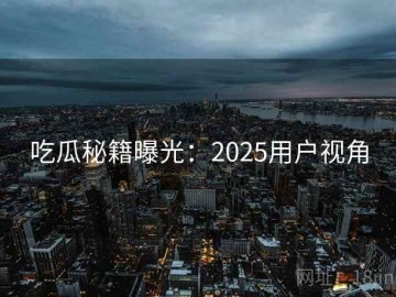 吃瓜秘籍曝光：2025用户视角