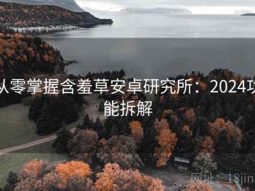 从零掌握含羞草安卓研究所：2024功能拆解