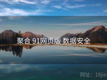 聚合 91网页版 数据安全