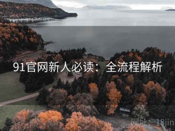 91官网新人必读：全流程解析