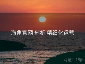 海角官网 剖析 精细化运营