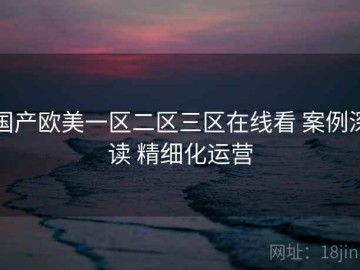 国产欧美一区二区三区在线看 案例深读 精细化运营