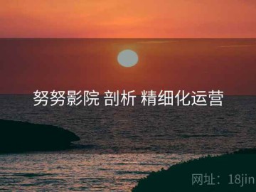 努努影院 剖析 精细化运营