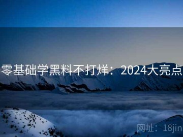 零基础学黑料不打烊：2024大亮点
