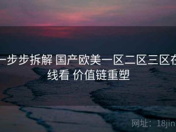 一步步拆解 国产欧美一区二区三区在线看 价值链重塑