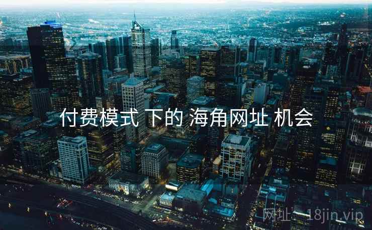 付费模式 下的 海角网址 机会