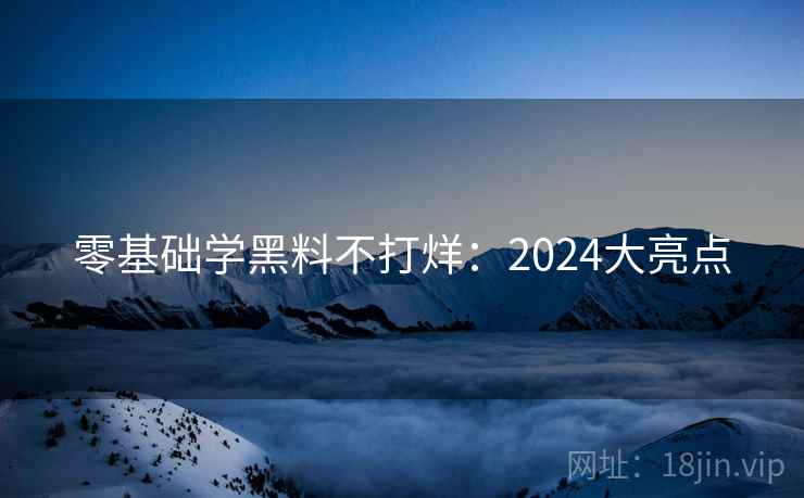 零基础学黑料不打烊：2024大亮点