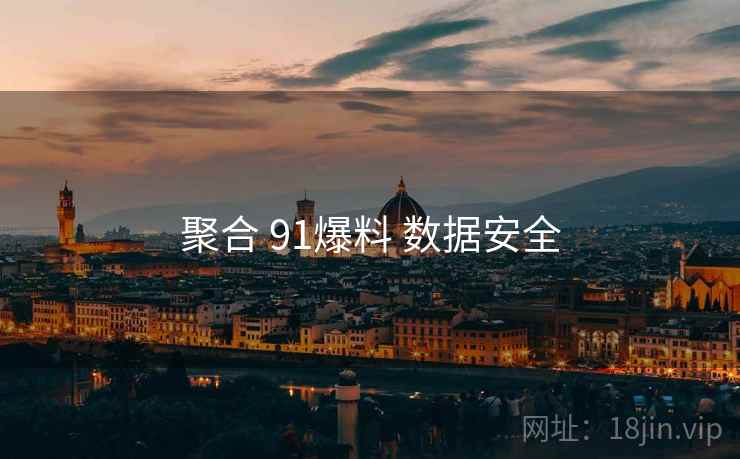 聚合 91爆料 数据安全
