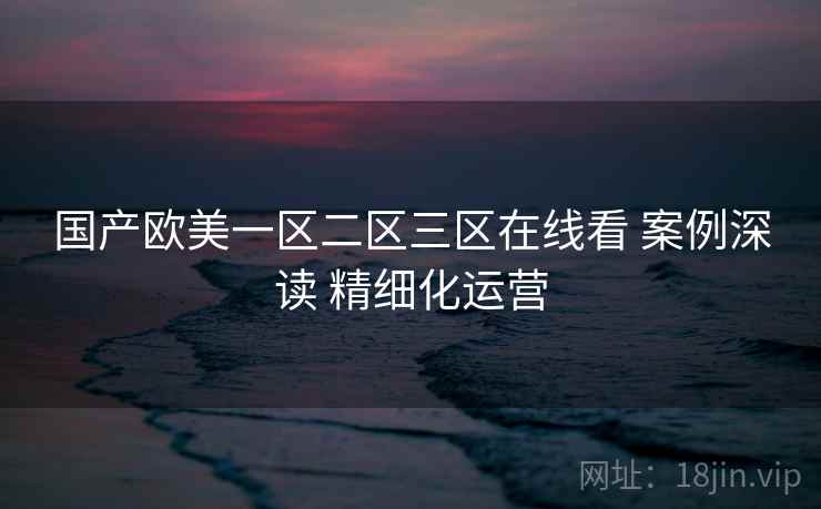 国产欧美一区二区三区在线看 案例深读 精细化运营