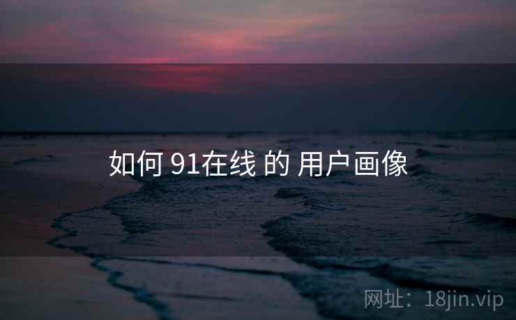 如何 91在线 的 用户画像