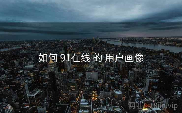 如何 91在线 的 用户画像