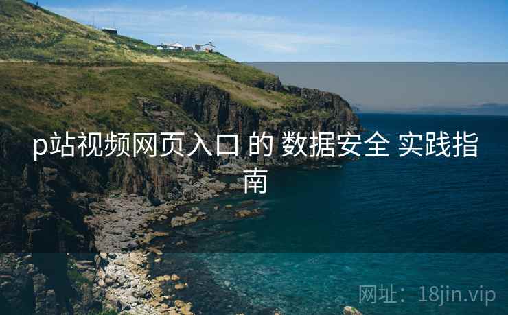 p站视频网页入口 的 数据安全 实践指南