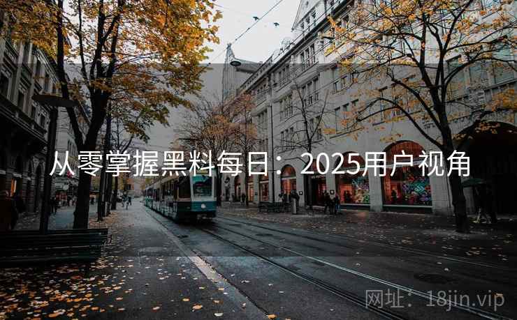从零掌握黑料每日：2025用户视角