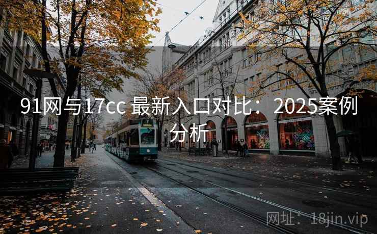 91网与17cc 最新入口对比：2025案例分析