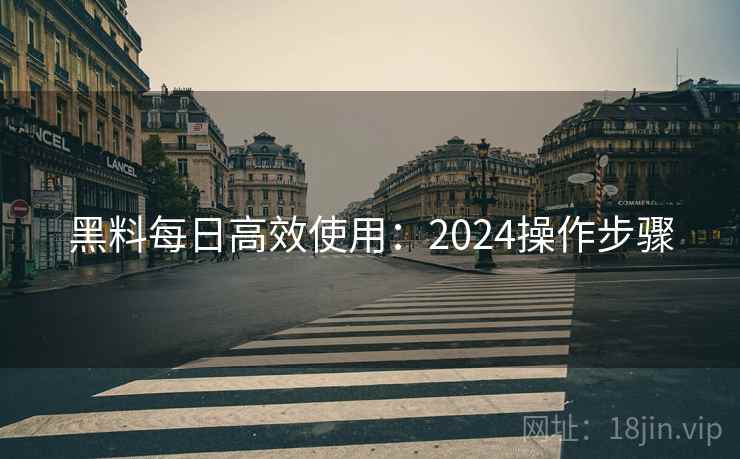 黑料每日高效使用：2024操作步骤