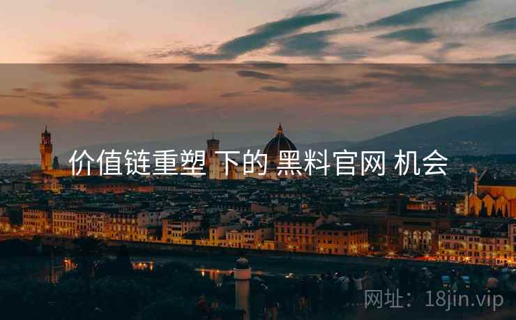价值链重塑 下的 黑料官网 机会