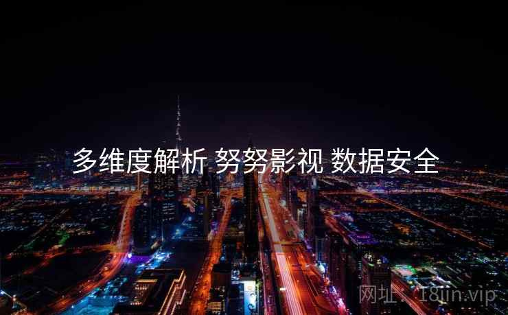 多维度解析 努努影视 数据安全