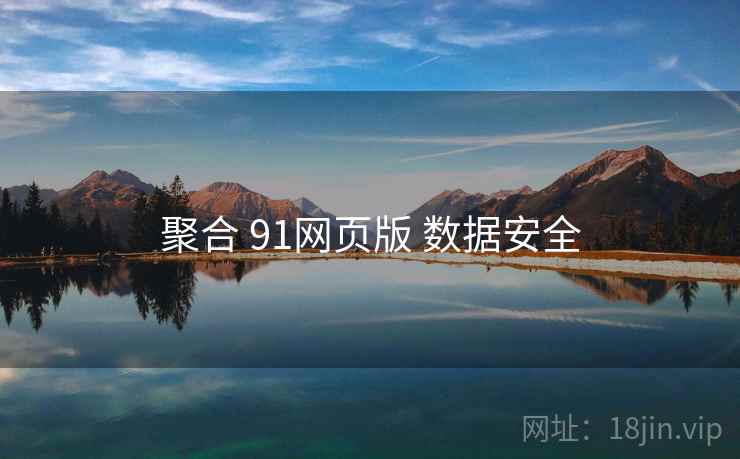 聚合 91网页版 数据安全
