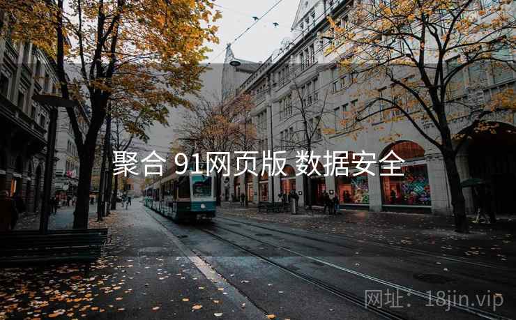 聚合 91网页版 数据安全