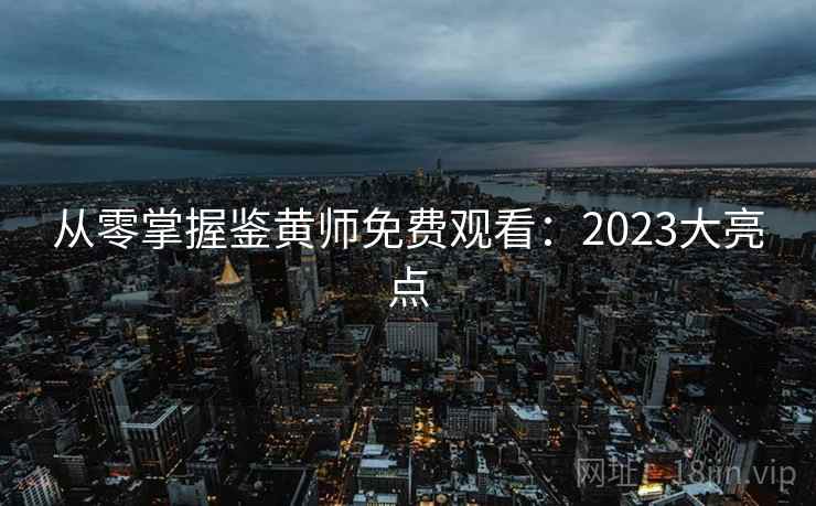 从零掌握鉴黄师免费观看：2023大亮点