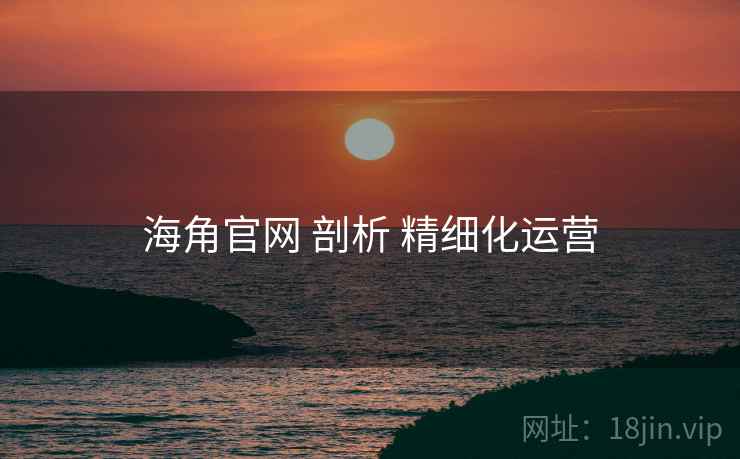 海角官网 剖析 精细化运营