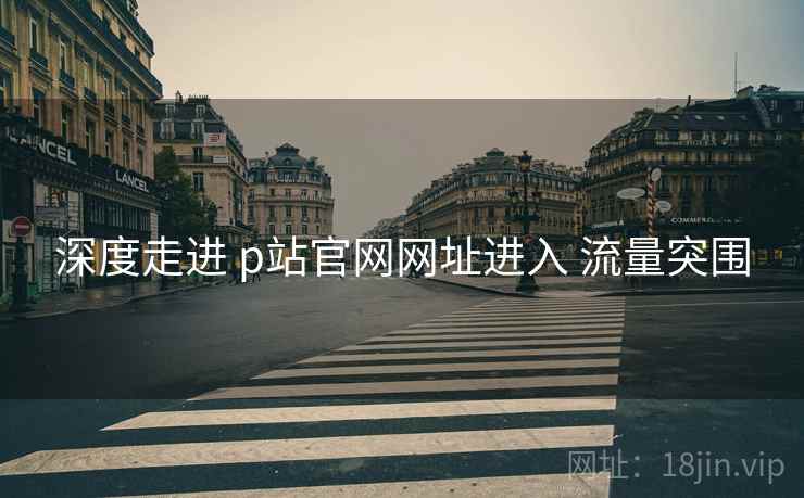 深度走进 p站官网网址进入 流量突围