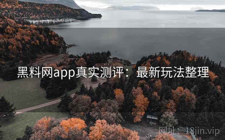 黑料网app真实测评：最新玩法整理