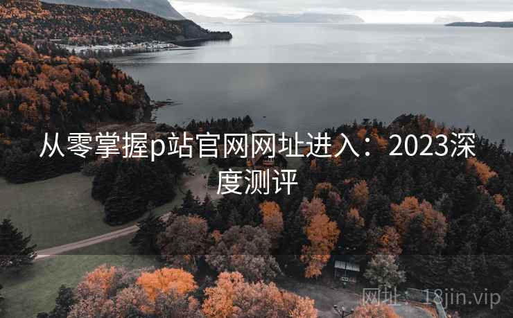 从零掌握p站官网网址进入：2023深度测评