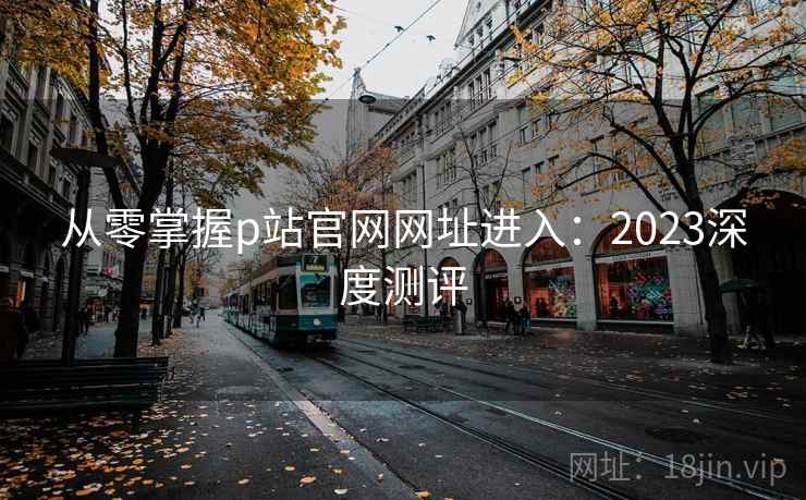 从零掌握p站官网网址进入：2023深度测评