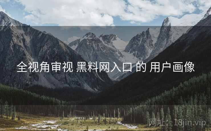 全视角审视 黑料网入口 的 用户画像