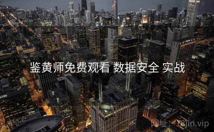鉴黄师免费观看 数据安全 实战