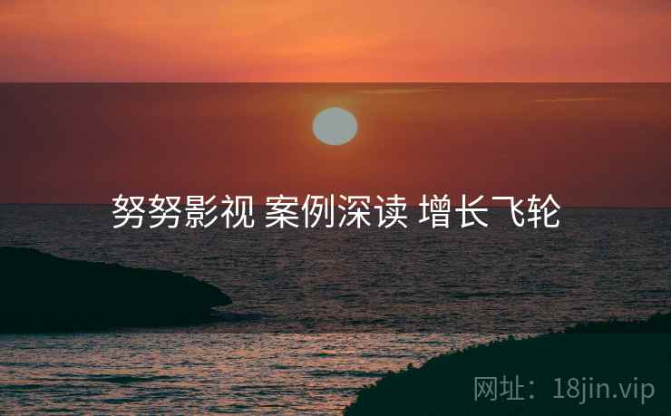 努努影视 案例深读 增长飞轮