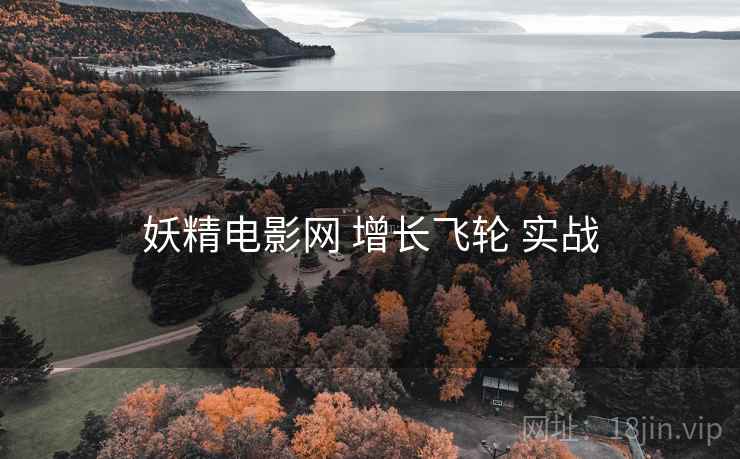妖精电影网 增长飞轮 实战