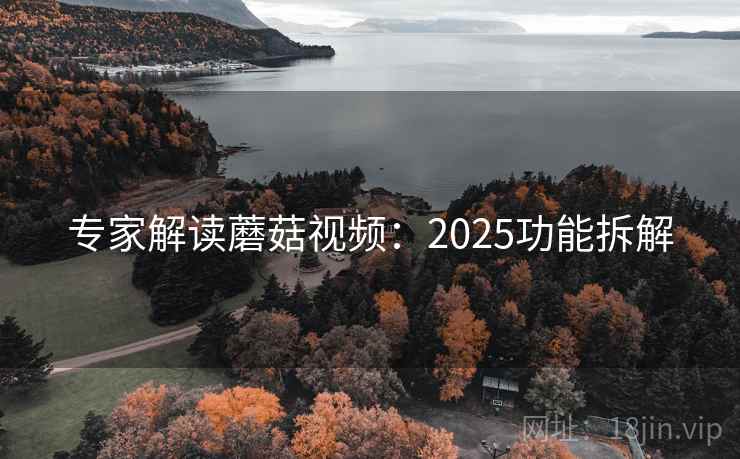 专家解读蘑菇视频：2025功能拆解