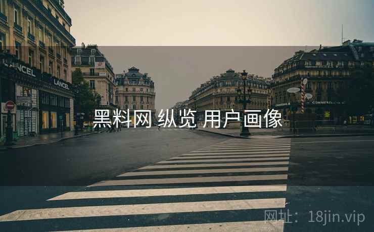 黑料网 纵览 用户画像